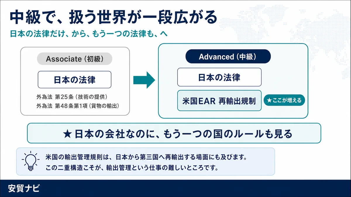 中級で、扱う世界が一段広がる