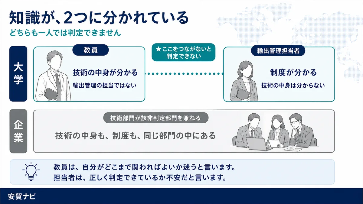知識が、2つに分かれている